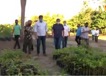 VÍDEO- João Pessoa ganha novo viveiro florestal e Léo Bezerra destaca iniciativa