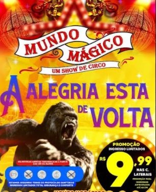 Circo Mundo Mágico reabre os espetáculos nesta quinta-feira em João Pessoa