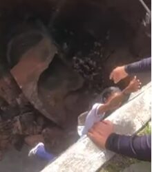 VÍDEO- Veja exato momento em que garota é resgatada após carro cair em cratera em JP