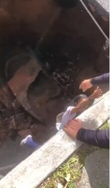 VÍDEO- Veja exato momento em que garota é resgatada após carro cair em cratera em JP