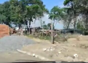 Operação combate atuação de facção, grilagem, invasão e desmatamento de área atlântica em Mangabeira