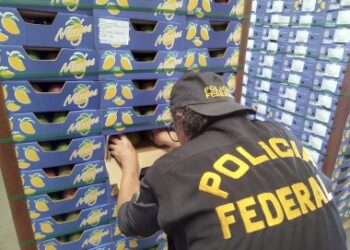 As mangas de Sousa, sinônimo de propina na Calvário, camuflagem de cocaína em Natal