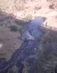 VÍDEO- Deputado destaca alegria dos sertanejos com chegada das águas da Transposição no Sertão da PB