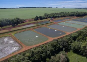 DESCONTO NA CONTA DE LUZ- Irrigantes e aquicultores precisam atualizar cadastro para manter benefício