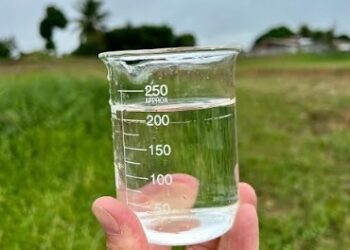 Ação operacional da ANE soluciona problemas e garante água tratada e límpida em Santa Rita