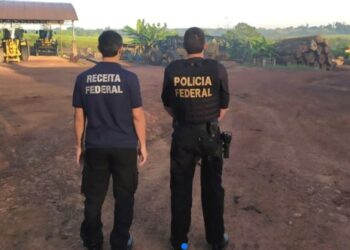 Operação da PF combate transporte ilegal de madeira do Pará ao RN e Paraíba