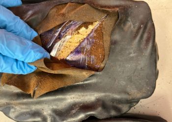 Polícia Federal prende mulher e apreende cocaína no aeroporto Castro Pinto na Grande João Pessoa