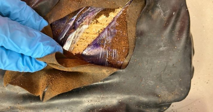 Polícia Federal prende mulher e apreende cocaína no aeroporto Castro Pinto na Grande João Pessoa