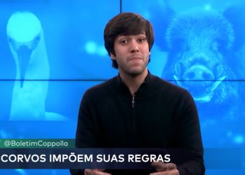 NÃO DEIXER DE ASSISTIR-  “A ascensão dos porcos, uma fábula da floresta” –  Por Caio Coppolla