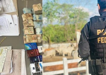 Polícia Federal cumpre mandados em 6 cidades na Paraíba em operação que mira contrabando de cigarros