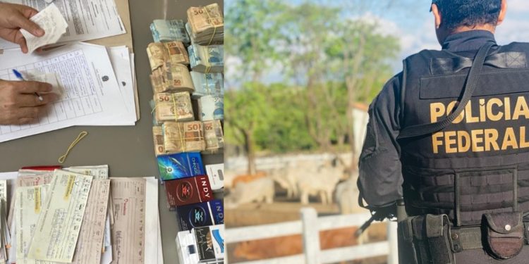 Polícia Federal cumpre mandados em 6 cidades na Paraíba em operação que mira contrabando de cigarros