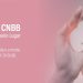 Conferência dos Bispos do Brasil-CNBB-  emite nota reprovando flexibilização ao aborto pelo Governo Lula