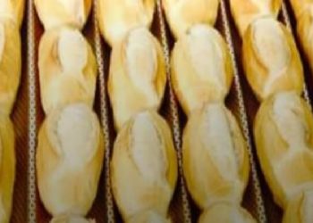 Preço do quilo do pão tem variação entre R$ 9,50 e R$ 20,98 em João Pessoa, revela pesquisa do Procon