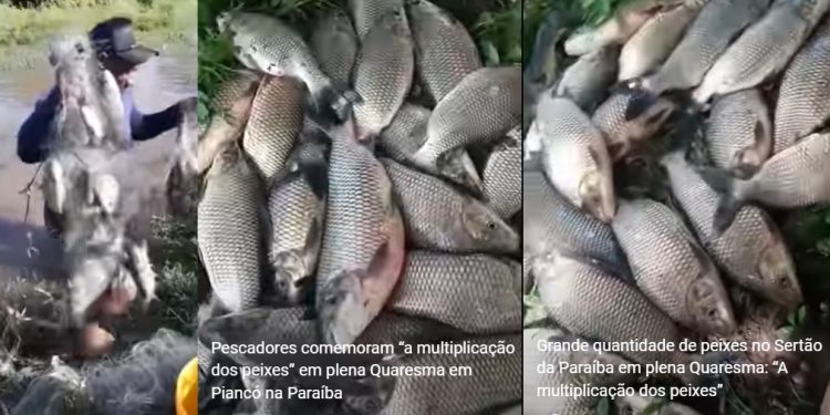 VÍDEOS- Pescadores na zona rural de Piancó comemoram “A multiplicação dos peixes” na Quaresma