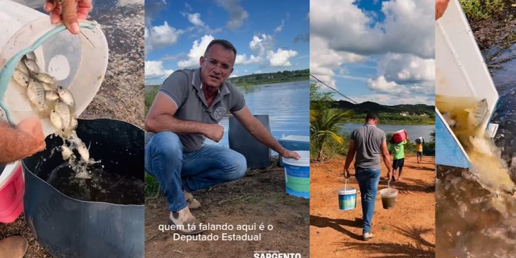 VÍDEO- No aniversário da cidade de Boqueirão deputado Sargento Neto solta 5 mil alevinos no açude