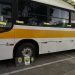 Bandidos utilizavam ônibus escolar para transportar cigarros contrabandeados e PF apreende veículo