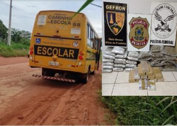 Operação da PF prende motorista que utilizava ônibus escolar de Prefeitura para transporte de drogas