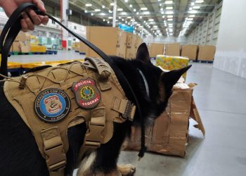 Polícia Federal encontra droga em encomenda postal nos Correios com destinatário em Fortaleza