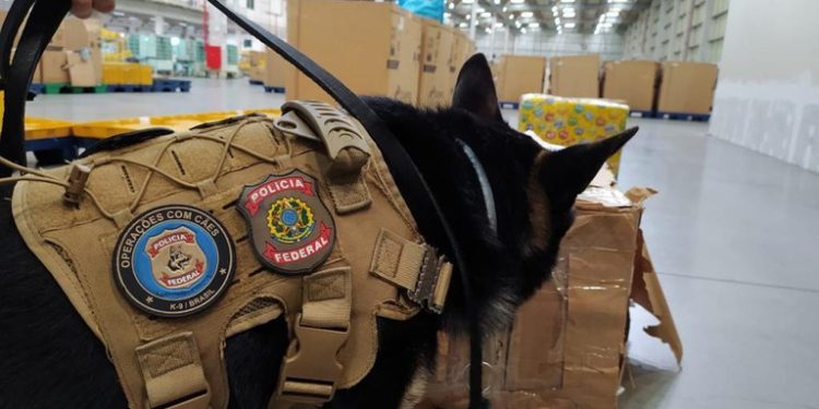 Polícia Federal encontra droga em encomenda postal nos Correios com destinatário em Fortaleza