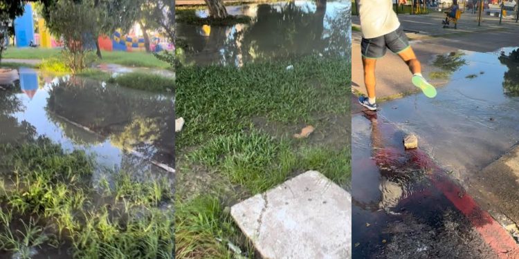 VÍDEO- Alô Cagepa ! Crime ambiental com esgoto a céu aberto atrapalha caminhada na Praça da Paz