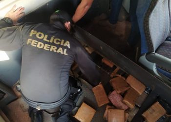 Polícia Federal prende homem e apreende 326 kg de shunk em assentos de um ônibus