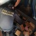 Polícia Federal prende homem e apreende 326 kg de shunk em assentos de um ônibus