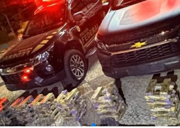 Polícias Federal e Militar fazem abordagem a caminhão e apreendem 1 tonelada de maconha