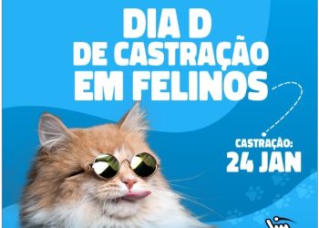 Cabedelo realiza ações em defesa dos animais com “Dia D de castração” e projeto “Adota com Amor”