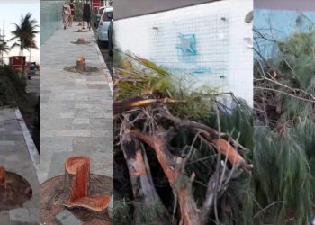 VÍDEO- Moradores denunciam corte de árvores na calçada de condomínio de luxo em praia de Cabedelo