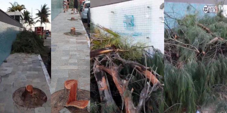 VÍDEO- Moradores denunciam corte de árvores na calçada de condomínio de luxo em praia de Cabedelo
