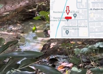 VÍDEO- Moradores alertam órgãos de fiscalização para suposto crime ambiental no Jardim Cidade Universitária