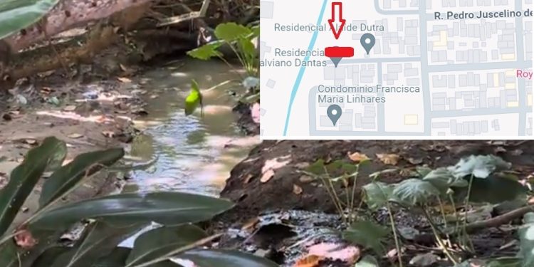 VÍDEO- Moradores alertam órgãos de fiscalização para suposto crime ambiental no Jardim Cidade Universitária