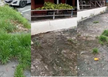 Vídeo mostra caos no mercado de Bayeux e comerciante desabafa “Quem vem fazer feira aqui? Isso tá uma pocilga”