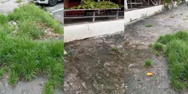 Vídeo mostra caos no mercado de Bayeux e comerciante desabafa “Quem vem fazer feira aqui? Isso tá uma pocilga”