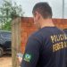 Operação da Polícia Federal em Parnaíba combate crimes sexuais em grupos de aplicativos de mensagens