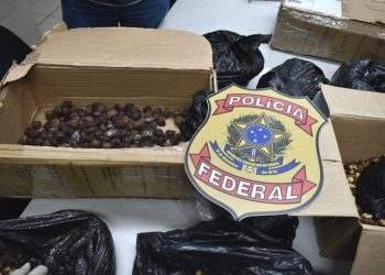 PF prende casal que recebeu caixa pelos Correios com 5,5 kg de drogas misturadas a castanhas