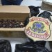 PF prende casal que recebeu caixa pelos Correios com 5,5 kg de drogas misturadas a castanhas