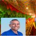 MP dá prazo para prefeito de Santa Rita suspender gastos milionários de R$ 10 milhões com festa de São João