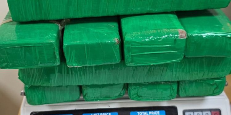 PF apreende drogas escondidas em caixas de brinquedos despachadas por 2 passageiros em rodoviária