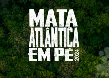 Operação combate desmatamento do bioma Mata Atlântica na Paraíba e mais 17 estados no país