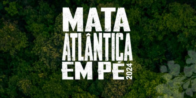 Operação combate desmatamento do bioma Mata Atlântica na Paraíba e mais 17 estados no país