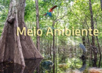 MPF ajuíza ação para garantir proteção de reserva extrativista entre os estados da Paraíba e Pernambuco