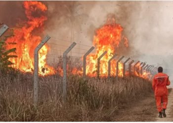 MPF cobra ação do Governo Lula no combate a incêndios e Justiça dá prazo de 72 horas para manifestação