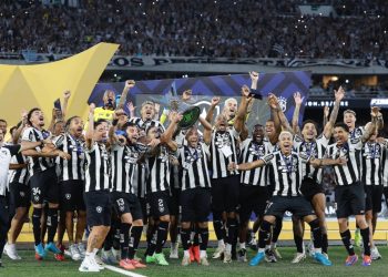 Botafogo faz história, após conquistar Libertadores, desbanca Palmeiras e sagra-se campeão do Brasileirão