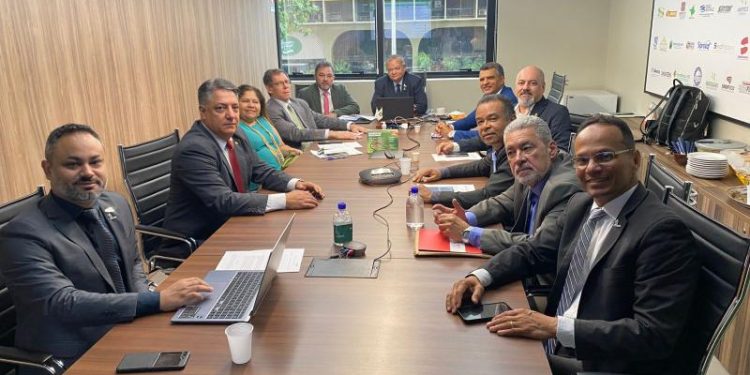 Fenafisco comemora êxito de mobilização junto ao Congresso e consolidação de avanços da categoria