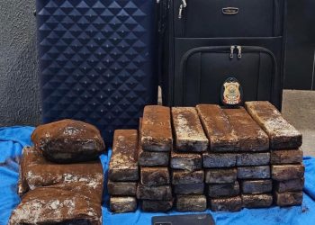 Polícia Federal encontra 28 tabletes e 6 pacotes de drogas em malas de adolescente em aeroporto