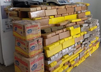 Polícia Civil apreendeu mais de 1 tonelada de drogas na Paraíba nos últimos cinco meses