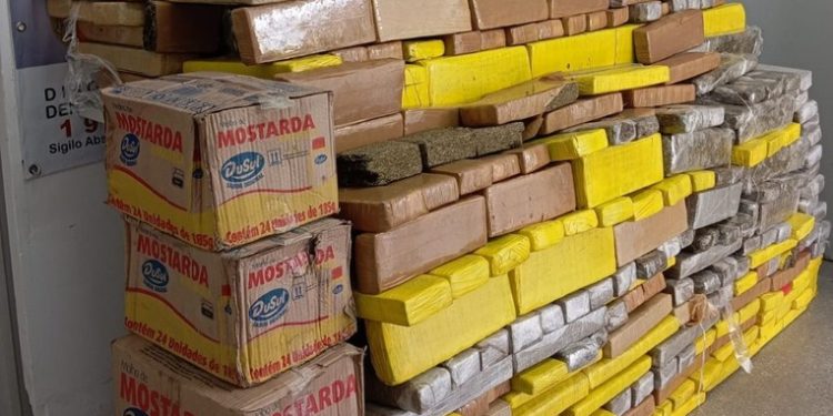 Polícia Civil apreendeu mais de 1 tonelada de drogas na Paraíba nos últimos cinco meses
