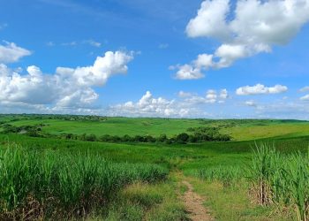 Incra atualiza planilha de valores referenciais para imóveis rurais no estado da Paraíba
