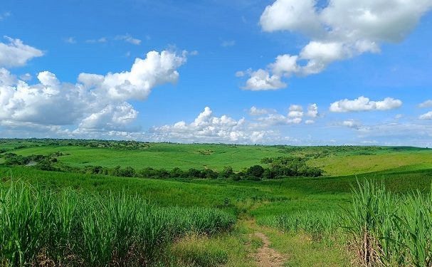 Incra atualiza planilha de valores referenciais para imóveis rurais no estado da Paraíba
